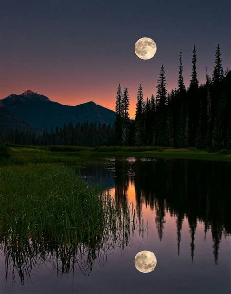 A Beautiful Night Time Shot Of Mother Nature Nature Photography