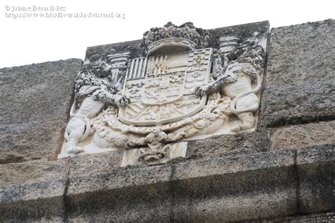 Escudo En El Puente De Alcántara 2221 Biodiversidad Virtual