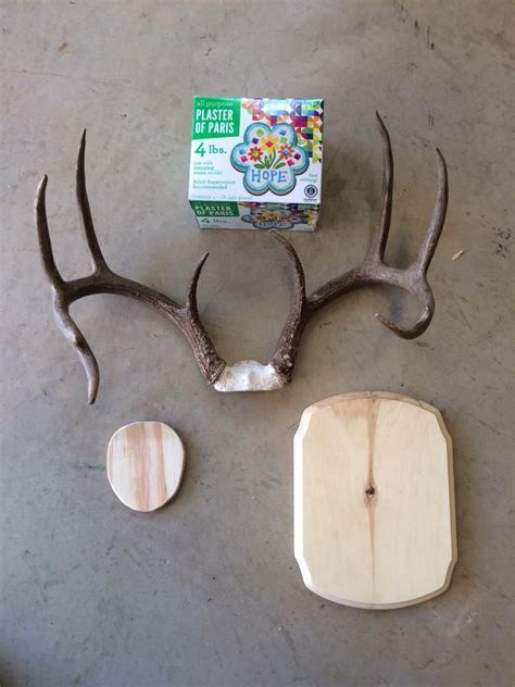 Oct 04, 2019 · this leiper's fork, tennessee, home is bursting at the beams with ingenious ideas for all things rustic, reclaimed, and repurposed. DIY Antler Plaque Project (Pic Heavy) | Deer antler crafts ...