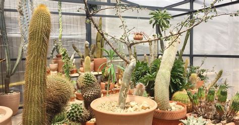 Monthly meetings are varied, educational; NYC's coolest new pop-up shop is a greenhouse with 1,000 ...