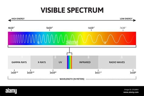 visible color spectrum sunlight wavelength and increasing frequency vector infographic
