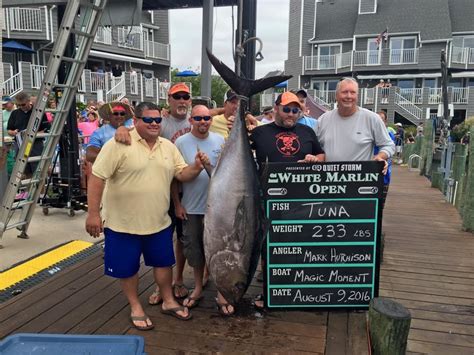 First Qualifying White Marlin For The Rd Annual White Marlin Open