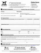 Veterinary Employee Review Form Photos
