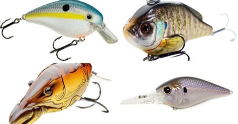 Your Definitive Guide To Choosing Crankbait Colors Diy Fishing Lures