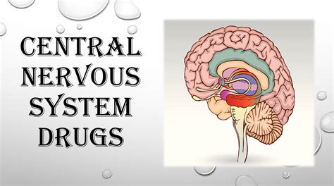 Central Nervous System Drugs 1