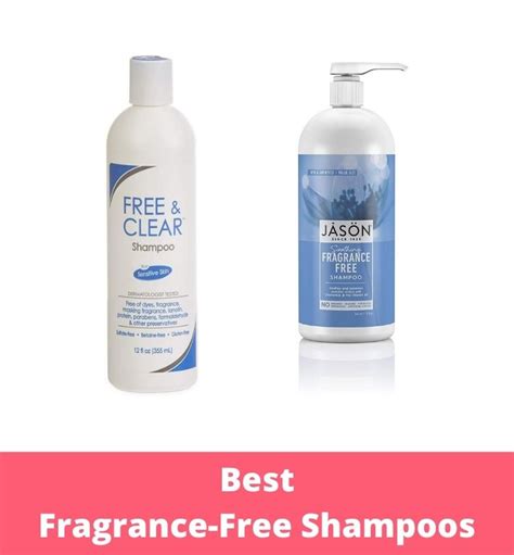 10 Best Fragrance Free Shampoos Of 2024 For Every Type Of Hair