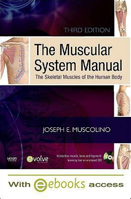 Anatomy back muscle anatomy body anatomy anatomy study human anatomy shoulder anatomy human reference anatomy reference drawing antique anatomical print from 1890 technique: The Muscular System Manual - Text and E-Book Package: The Skeletal Muscles of the Human Body 3rd ...