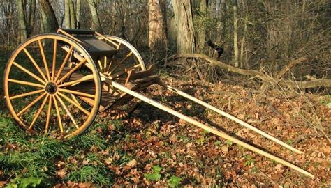 Beautiful Amish Built Raber Single Horse Cart Rare Pickup North