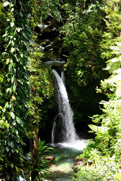 dominica dominica s most beautiful waterfalls