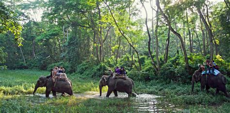 Jungle Safari Tour — Chitwan Jungle Safari — Bardiya Jungle Safari
