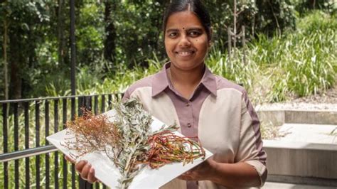Researchers Identify Business Opportunity In Bush Food Perthnow
