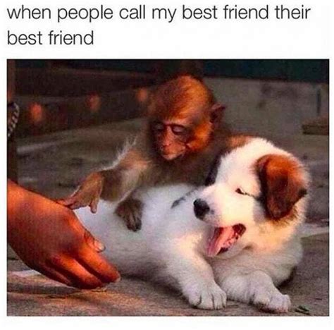 30 National Best Friends Day Memes To Share With Your Bff Yourtango