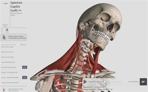 Essential anatomy 5 is a complete anatomy app that features more than 8.000 structures that you can consult with its very accurate and immersive this is an excellent app for anatomy students. Complete Anatomy for Mac - Download