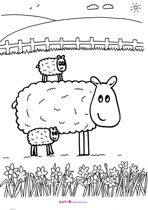 Todos los dibujos son gratis. Dibujos de ovejas para colorear