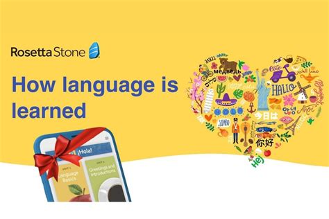 Rosetta Stone Language Learning Review Consumerrating