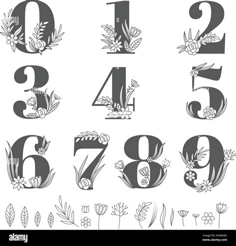 Flower Ornate Numbers Decorative Floral Alphabet Elements Botanical