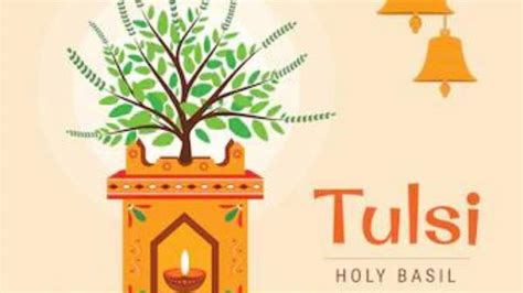 Tulsi Vivah 2022 Date Significance And Shubh Muhurat Culture News