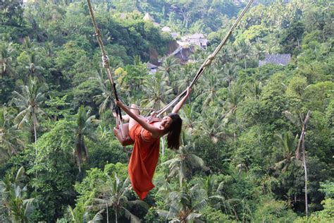 Ubud Highlights Private Tour With Swing Trip Ways