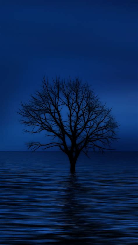 Blue Tree Wallpapers Top Free Blue Tree Backgrounds Wallpaperaccess