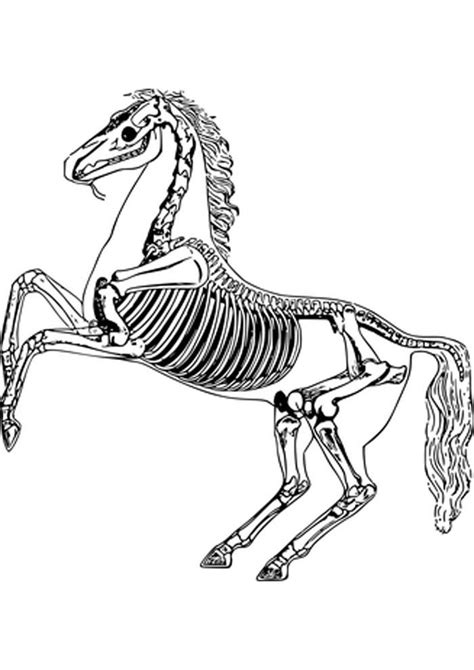 Auf dieser seite findet ihr die verschiedensten ausmalbilder zum thema pferde und ponys. 85 Ausmalbilder Pferde | Coloring Pages