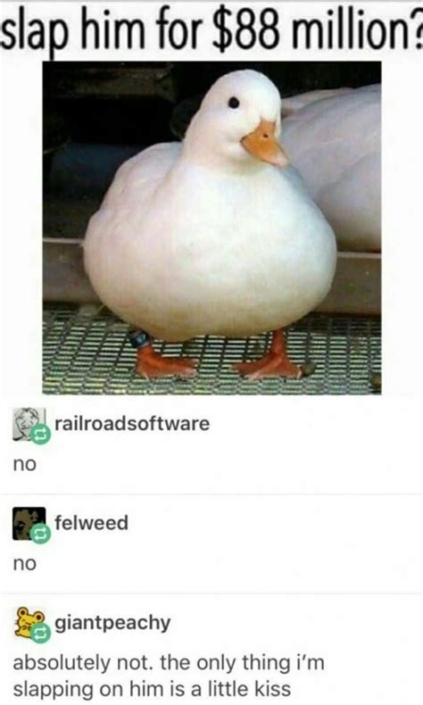 Chonkers Goose Funny Animal Memes