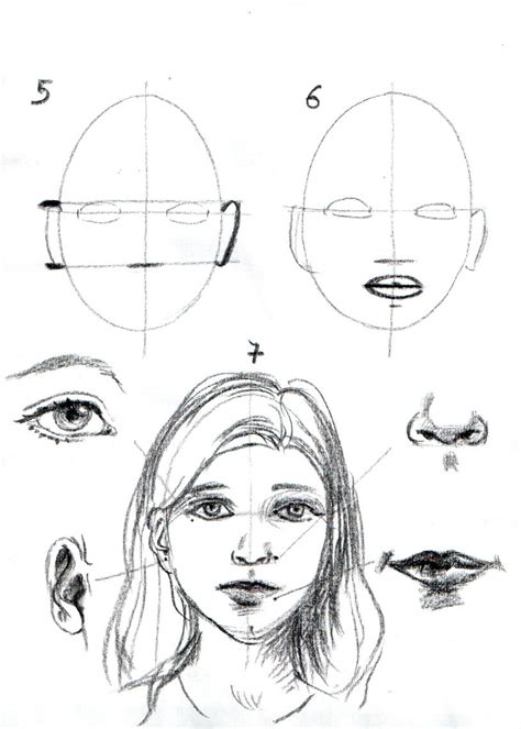 Apprendre A Dessiner Un Visage Etape Par Etape Portrait Drawing