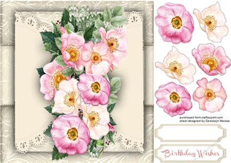 Beautiful Brier Roses On Sepia Lace Cup8030721398 Craftsuprint