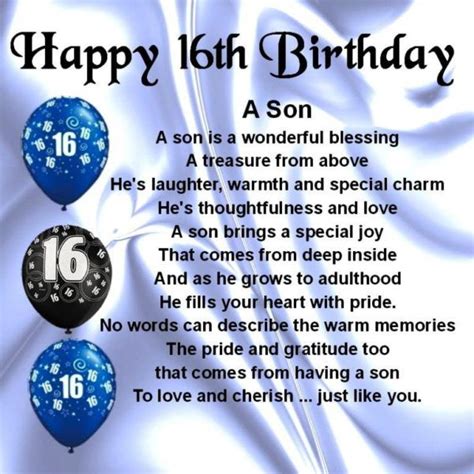 Funny 16th Birthday Quotes For Boys Shortquotescc