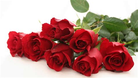 Red Rose Bouquet With White Background Hd Wallpaper Wallpaper Flare