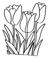 Acesta este unul dintre desenele mele despre. Desene cu Flori de Primavara de colorat, imagini și planșe ...