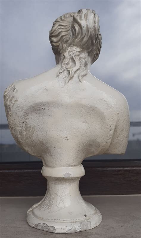 21 Cm Goddess Aphrodite Bust Head Statue Gypsum Etsy