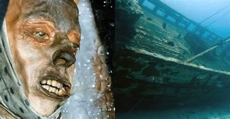 First Images Taken Inside Cannibal Shipwreck Of The Hms Terror