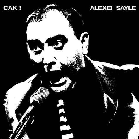 Fuji Puzzle Box Alexei Sayle Cak