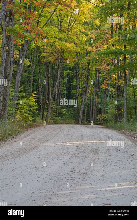 A Dirt Road Through An Autumn Forest At Pictured Rocks National