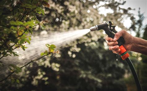 Tree And Shrub Watering Tips J And J Landscape Management Inc