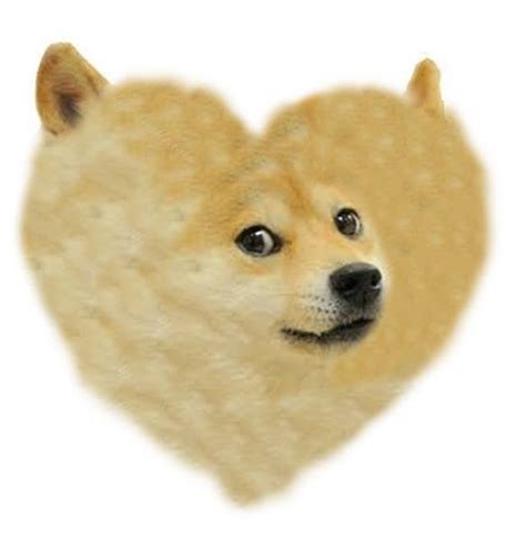 Doge Is Love Doge Is Life Doge Loves You And Your Wife Rdoge