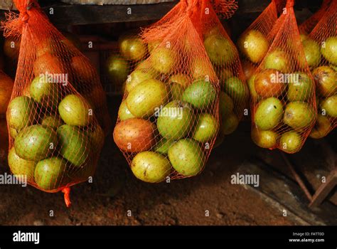 Kerala Fruits Hi Res Stock Photography And Images Alamy