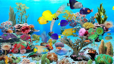 Galeries pour télécharger nos fonds d'écran stylés : Fond D Ecran Pc Aquarium Gratuit Animé - 1600x900 ...