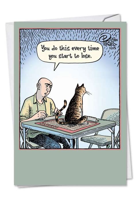 It can be hard to come up with new messages for your cards year after year, so i came up with several creative ideas for writing out birthday cards, especially for cat lovers (and cats!). Sore Loser Cat Cartoons Birthday Greeting Card Bizarro