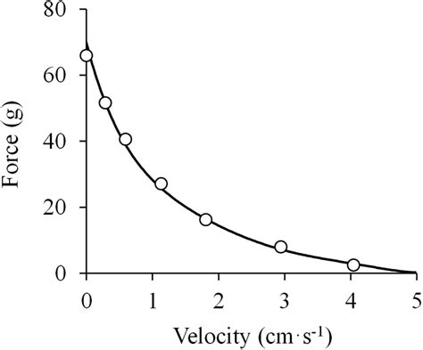 Frontiers | On the Shape of the Force-Velocity Relationship in Skeletal ...