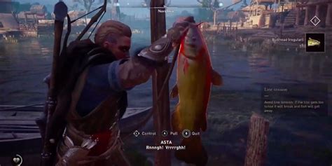Assassin S Creed Valhalla How To Get 10 Bullhead Small For Elisdon Altar