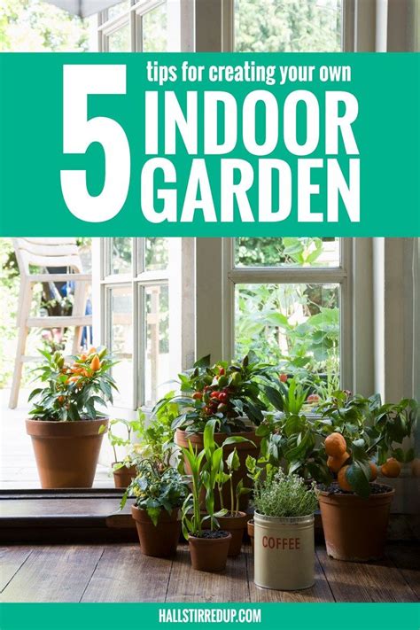 5 Tips For Creating Your Own Indoor Garden Hall Stirred Up Indoor
