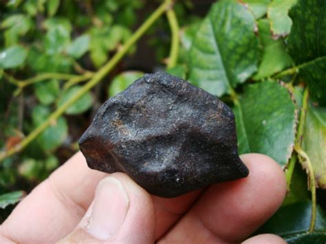 Buzzard Coulee Meteorite 587gm
