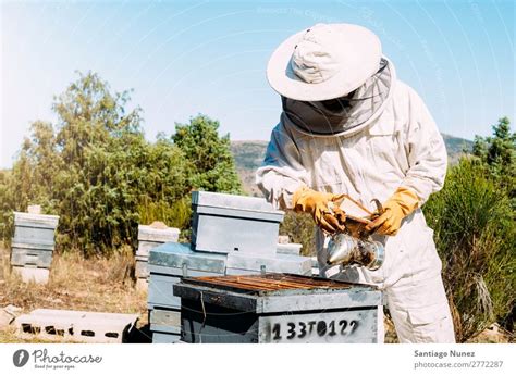 Beekeeper Working Collect Honey A Royalty Free Stock Photo From