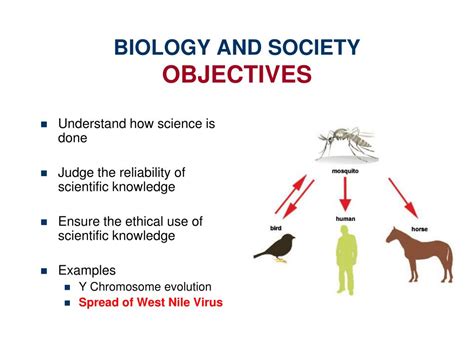 Ppt Bsc 103 Biology And Society Powerpoint Presentation Free