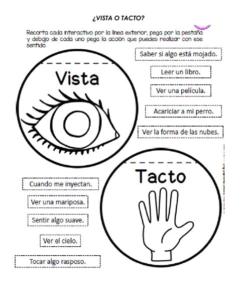 Ejercicio De Vista O Tacto