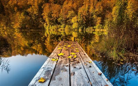Free Photo Autumn Lake Autumn Reflection Outside Free Download Jooinn