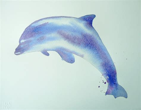 Paint A Dolphin Eastwitching