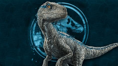 Blue The Velociraptor Wallpapers Wallpaper Cave