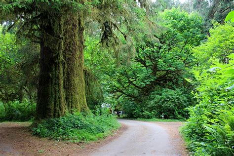 Maybe you would like to learn more about one of these? 6 Best Campgrounds in Redwood National and State Parks, CA ...
